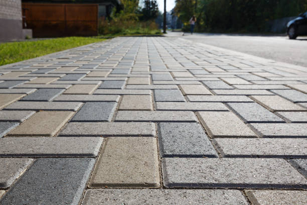 Best Driveway Paving Contractor  in Tainter Lake, WI